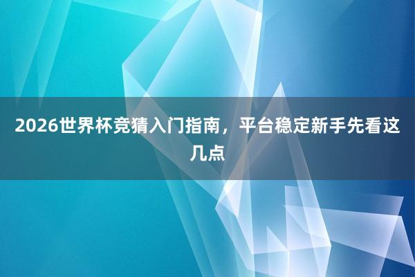 2026世界杯竞猜入门指南，平台稳定新手先看这几点